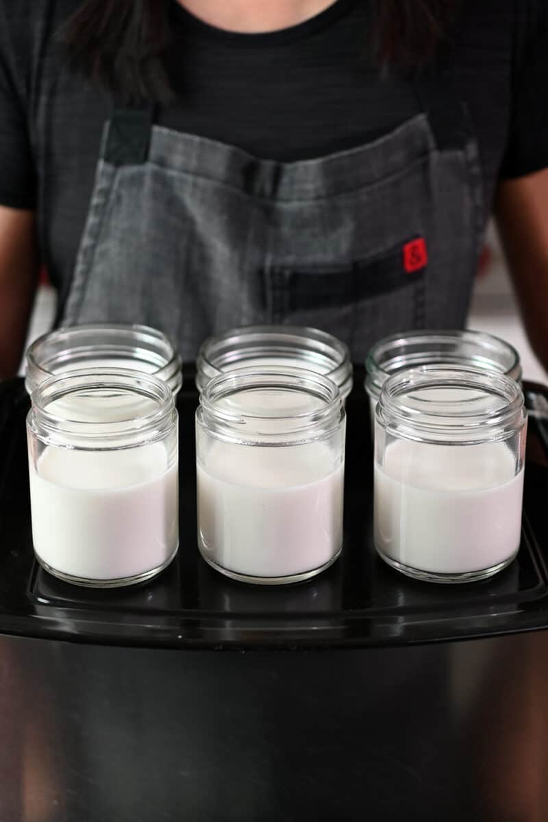 A woman holding a tray of 6 jars filled with coconut jelly liquid