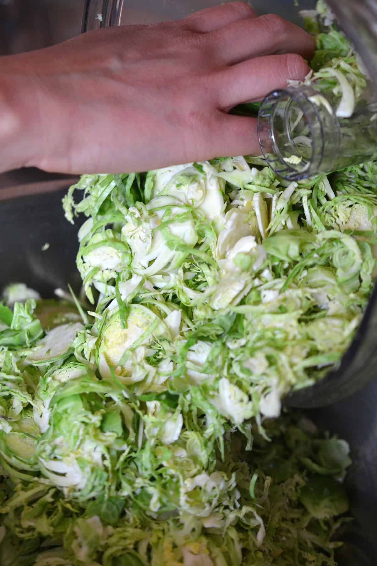 Pouring the shaved Brussels sprouts out of a food processor and into a bowl.