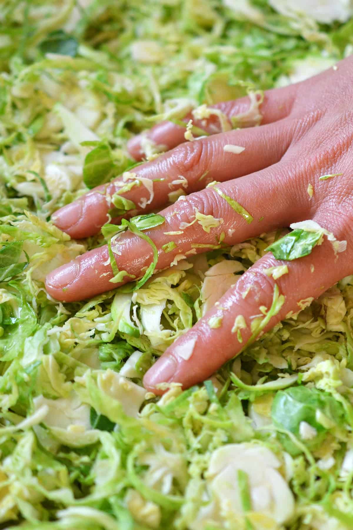 Using a hand to place the seasoned shaved Brussels sprouts in a single layer on a rimmed baking sheet.