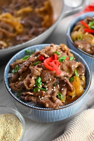 A closeup of a blue and white bowl with gyudon, Japanese beef and rice bowl topped with red pickled ginger and sliced green onions.
