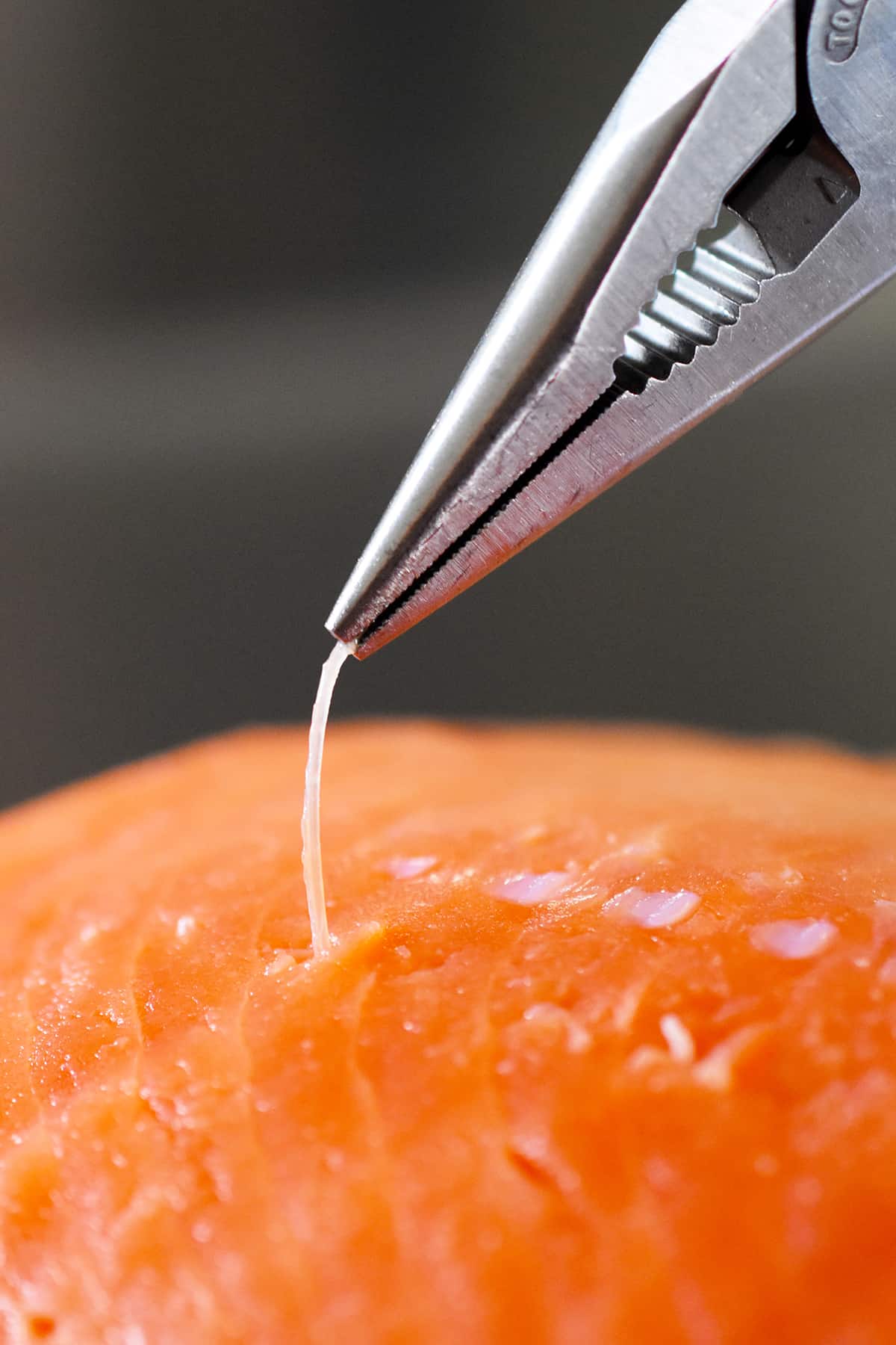 A pair of pliers is removing a pin bone from a raw salmon fillet.