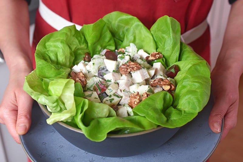 Two hands holding a bowl of chicken Waldorf salad.