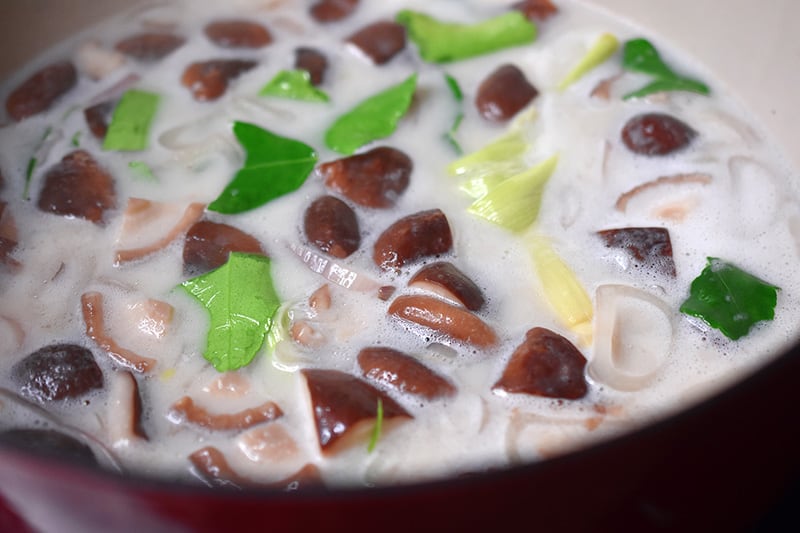 Closeup of a pot of paleo Tom Kha Gai broth simmering on the stove.