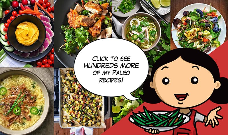 A cartoon image of Michelle Tam saying "Click to see hundreds more of my paleo recipes!"