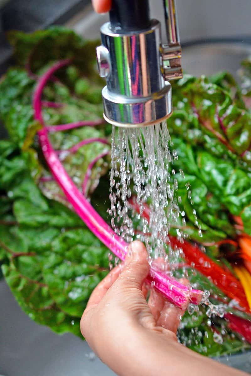 Someone washing rainbow swish chard under a sink.