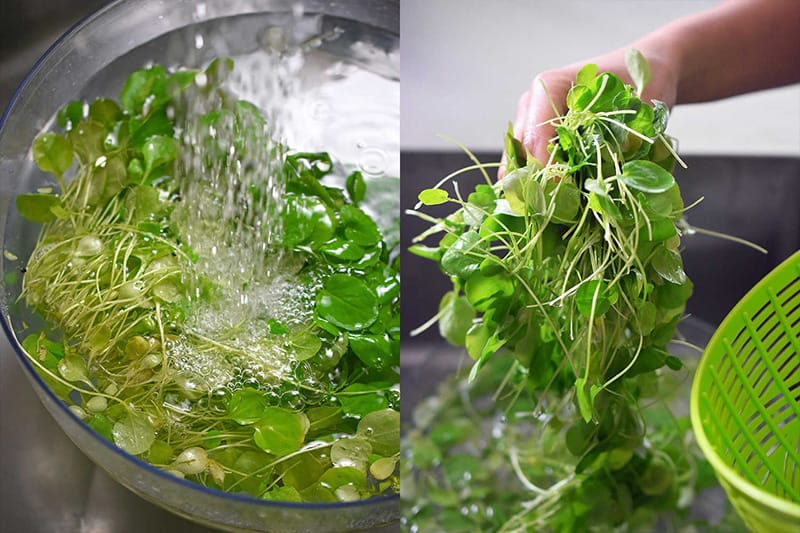 Washing young watercress leaves with water in a clear bowl.