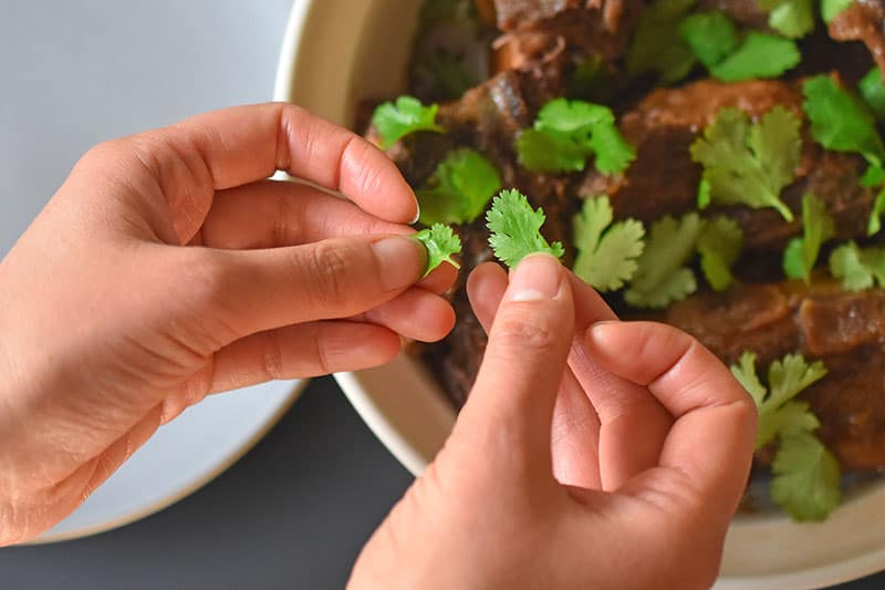 Garnishing Instant Pot Korean Short Ribs with fresh cilantro