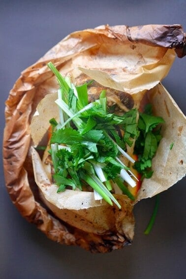 An overhead shot of Fish en Papillote (in Parchment) with Citrus, Ginger, & Shiitake topped with fresh cilantro and scallions.
