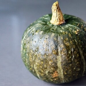 A kabocha squash sitting on the countertop.