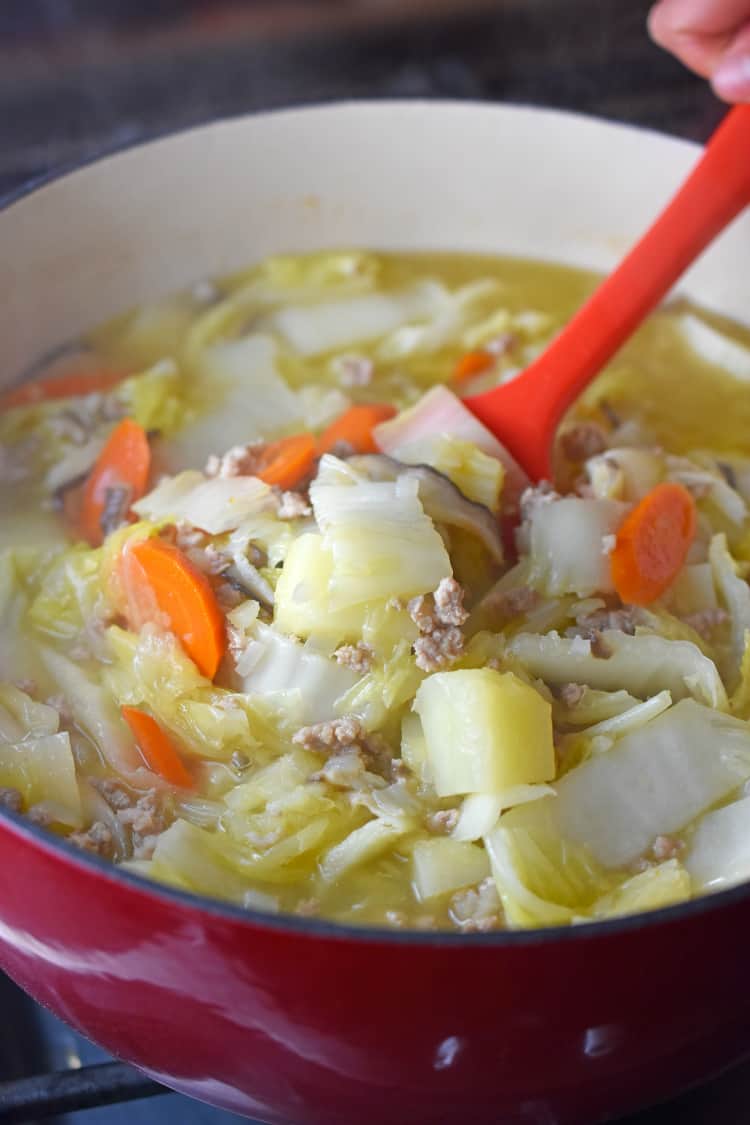Closeup shot of Pork and Napa Cabbage Soup ready to serve