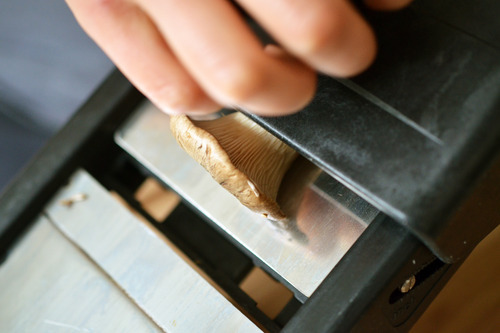 Someone thinly slicing mushrooms with a mandolin to make crispy mushroom chips.