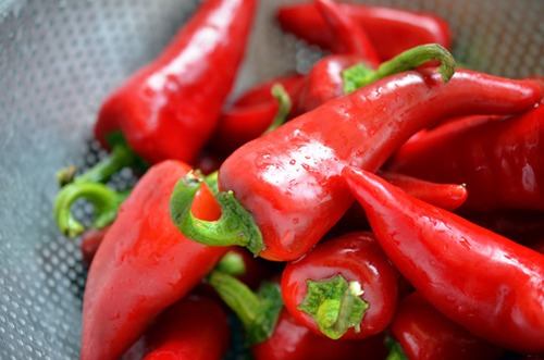 A closeup shot of red jalapeños in a colander. 