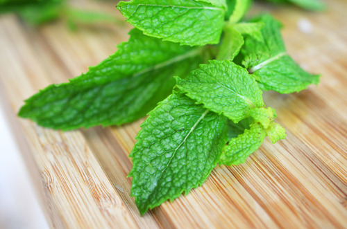 Fresh mint on a cutting board.