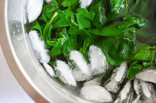 Cooling down the boiled swiss chard in an ice bath.