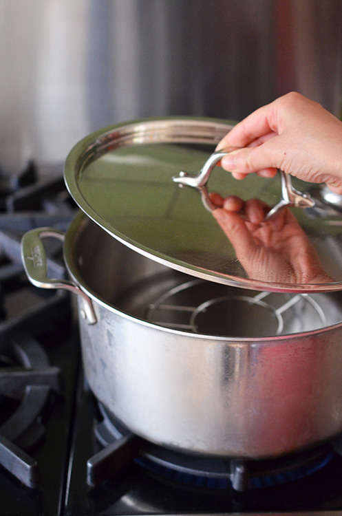 A lid is placed on top of the pot containing the water and steamer rack.
