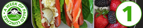 Paleo Lunchbox Roundup 2014 by Michelle Tam https://nomnompaleo.com
