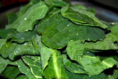 Collard greens piled high.