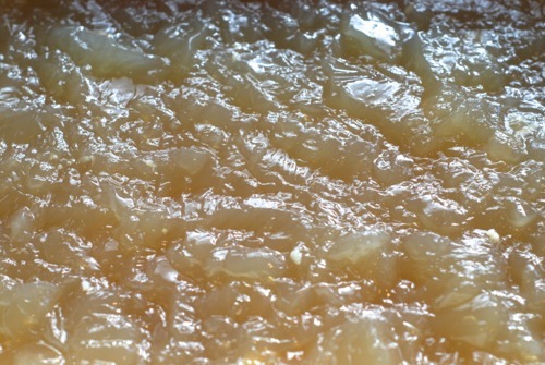 A close up of beef bone broth.