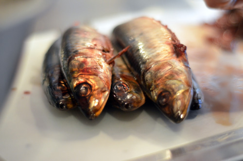 Sardines laid on a cutting board ready to be gutted.