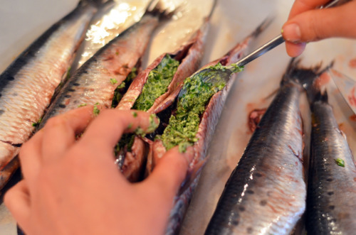 Someone putting in a spoonful of the herb-butter marinade into the sardine cavities.