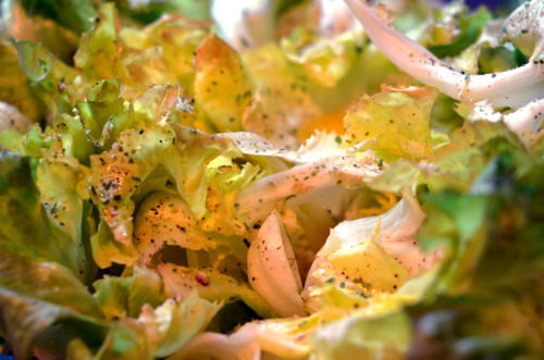 Seasoned escarole with spices and salt.