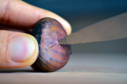 Someone carving an X into a chestnut with a knife.