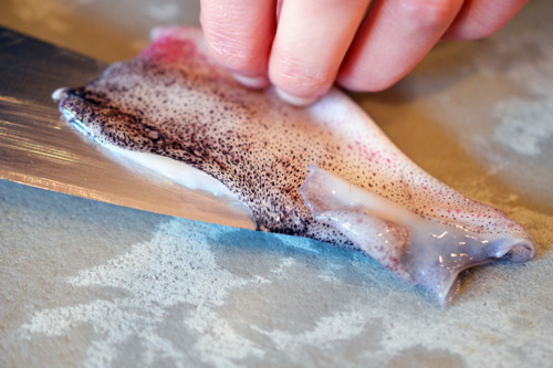 Someone slicing through a cleaned and raw squid.