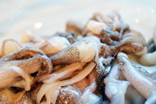 A pile of raw squid.