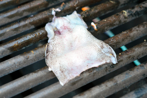 Squid being cooked on a grill for grilled calamari.