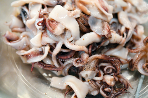 Sliced pieces of flash grilled squid for grilled calamari.