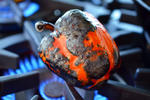 Roasting a red bell pepper until charred on a stove over an open flame.