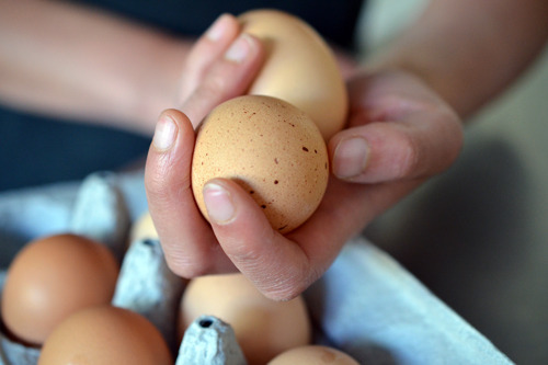 Someone holding two eggs in their hand.