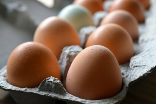Pasteurized eggs in a carton.