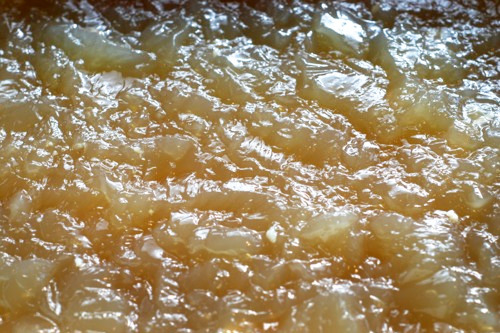 A close up of the slow cooker beef bone broth after having chilled in the fridge. The texture looks like Jell-O.