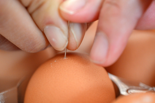 Someone poking a small hole into an egg with a needle to make perfectly hard-boiled eggs.