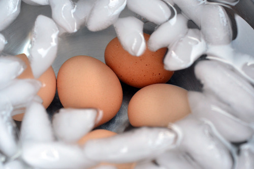 Perfectly hard-boiled eggs are resting in an ice bath to cool.