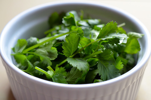 A ramekin filled with cilantro.