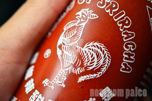 A closeup of the label of Huy Fong's sriracha